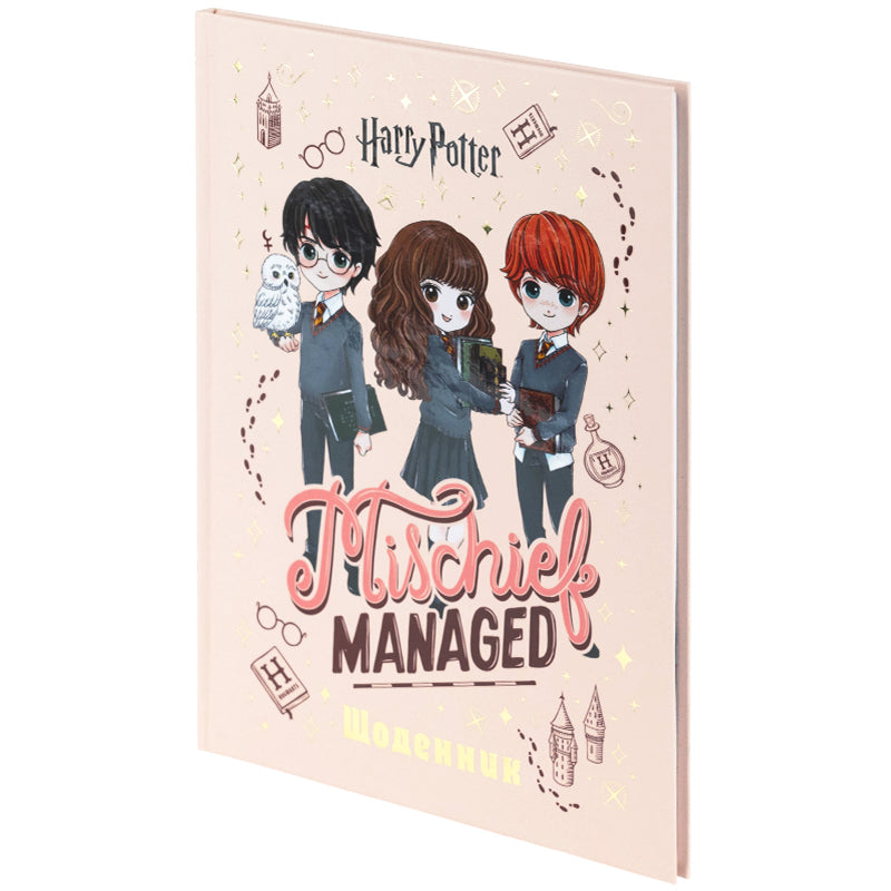 Школьный дневник Kite Harry Potter HP26-262-1, твердая обложка