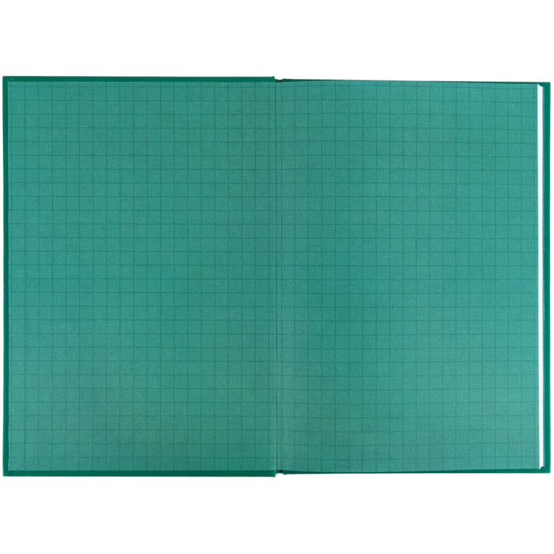 Школьный дневник Kite K26-262-13, твердая обложка, зеленый