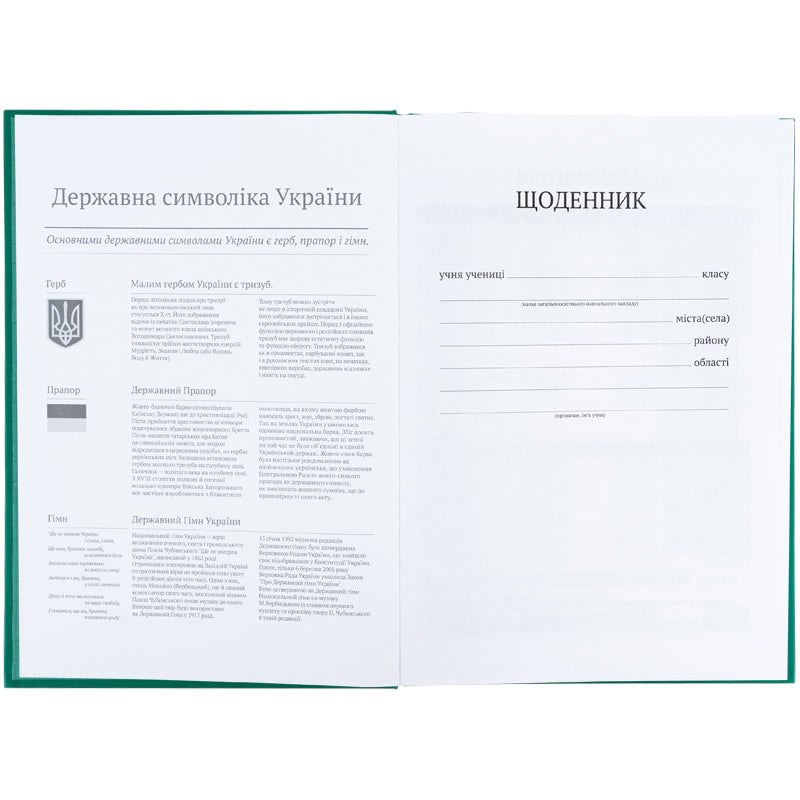 Школьный дневник Kite K26-262-13, твердая обложка, зеленый