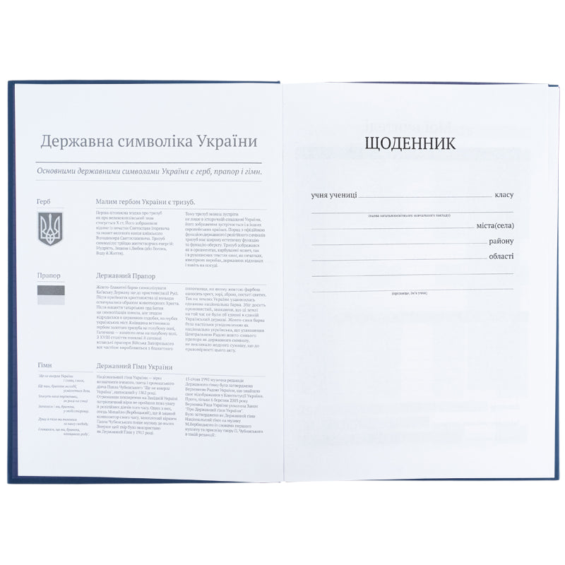 Школьный дневник Kite K26-262-17, твердая обложка, графитный