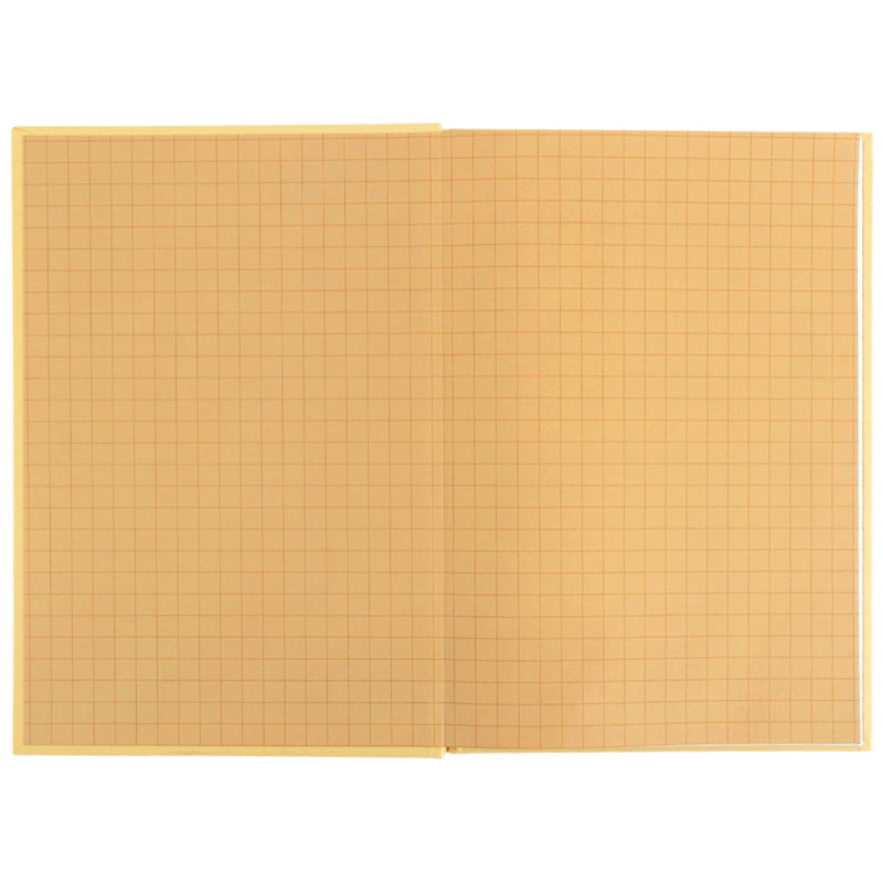 Школьный дневник Kite K26-262-18, твердая обложка, оранжевый