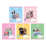 Зошит шкільний Kite Studio Pets SP26-234, 12 аркушів, лінія