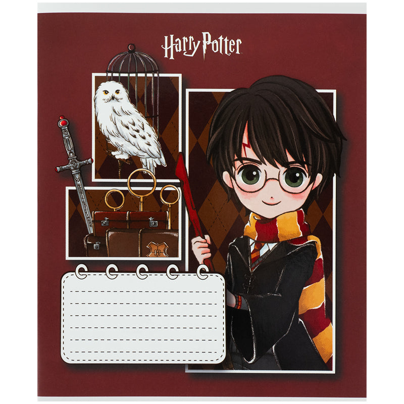 Тетрадь школьная Kite Harry Potter HP26-235, 12 листов, косая линия