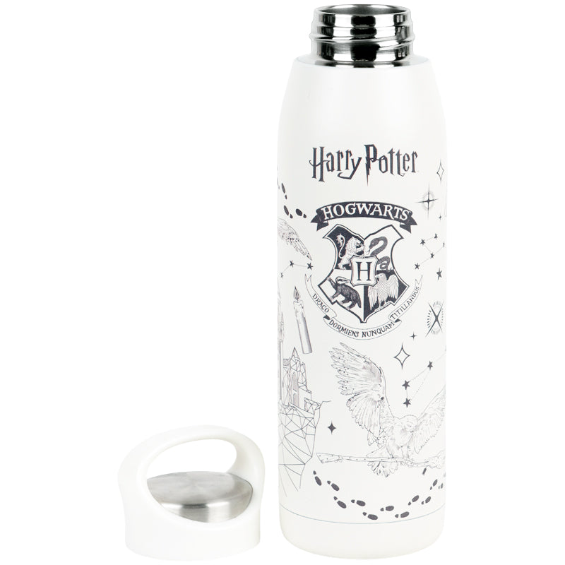 Термобутылка Kite Harry Potter HP26-1310-1, 680 мл