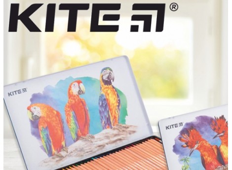 Акварельные карандаши Kite серии «Птицы»: создаем шедевры вместе