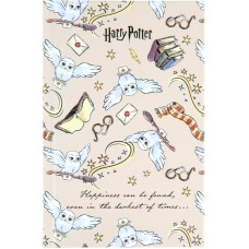 Книга записная Kite Harry Potter HP23-199-2, твердая обложка, А6, 80 листов, клетка